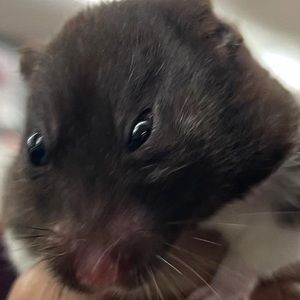 Meet your Posher, Kevin